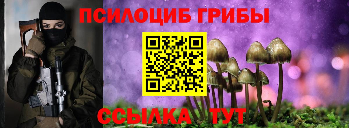 Псилоцибиновые грибы Cubensis  Галлюциногенные грибы Cubensis  Вход с VPN  Котлас 