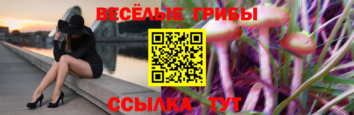 Галлюциногенные грибы мицелий Котлас